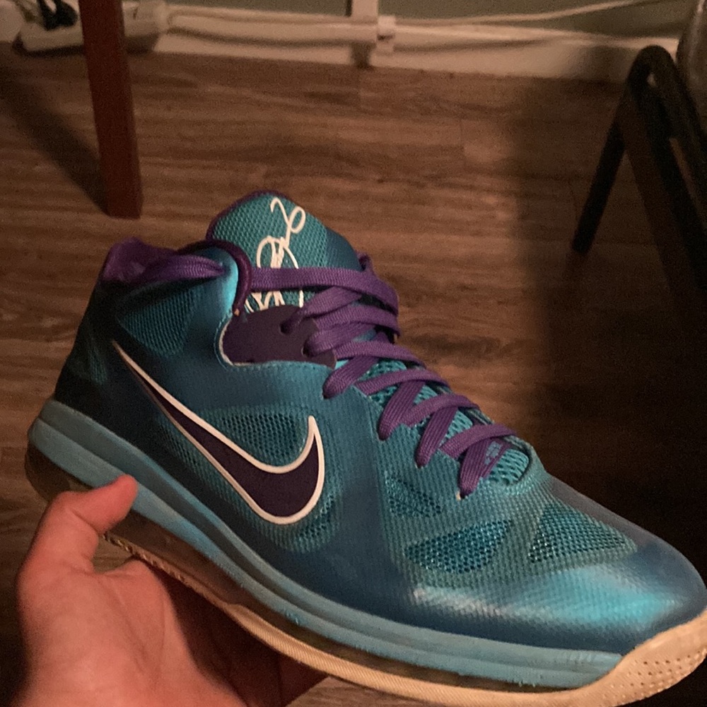 Nike lebron 9 Summit Hornet